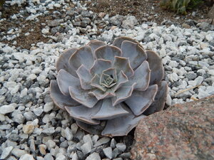 DSCN3367.JPG