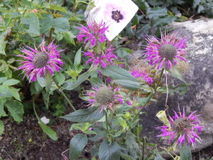 DSCN3394.JPG