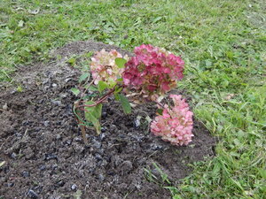 DSCN3326.JPG