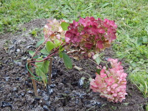 DSCN3328.JPG