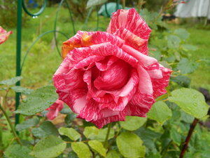 DSCN3260.JPG
