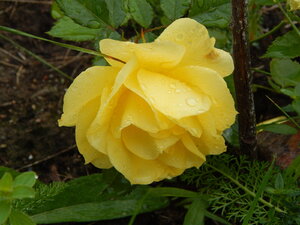 DSCN3263.JPG