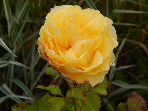 DSCN3291.JPG