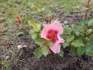 DSCN3346.JPG