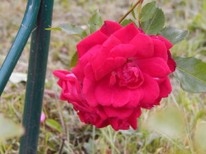 DSCN3347.JPG