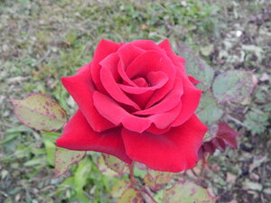DSCN3351.JPG