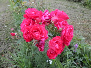 DSCN3371.JPG