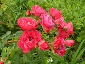 DSCN3274.JPG