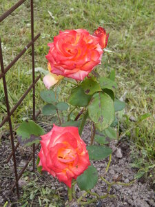 DSCN3331.JPG