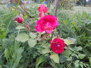 DSCN3372.JPG