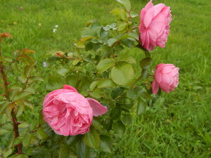DSCN3382.JPG