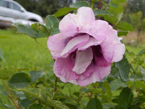 DSCN3395.JPG