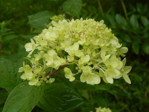 DSCN3257.JPG