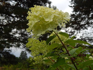 DSCN3259.JPG