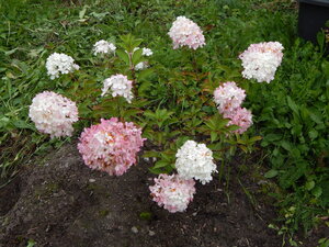 DSCN3332.JPG