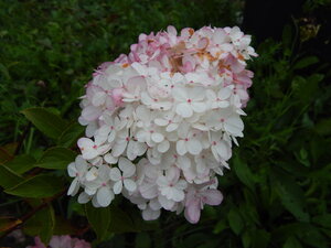 DSCN3333.JPG