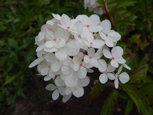 DSCN3334.JPG