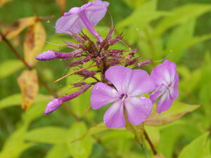 DSCN3261.JPG