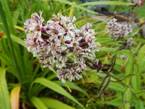 DSCN3264.JPG