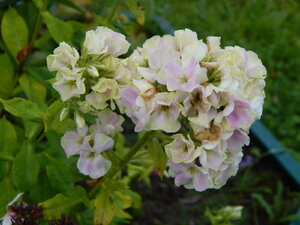DSCN3267.JPG