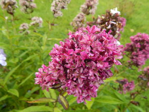 DSCN3269.JPG