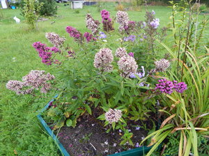 DSCN3273.JPG