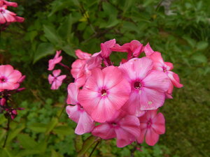DSCN3338.JPG