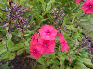 DSCN3339.JPG