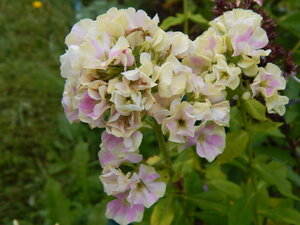 DSCN3375.JPG