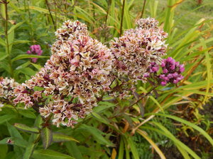 DSCN3380.JPG