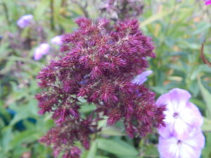 DSCN3377.JPG