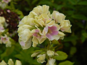 DSCN3376.JPG