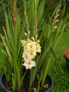 DSCN3301.JPG