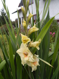 DSCN3337.JPG