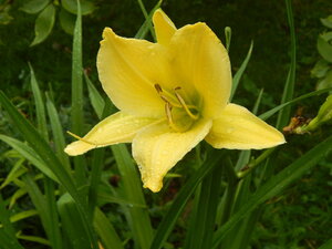 DSCN3256.JPG