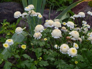 DSCN3266.JPG