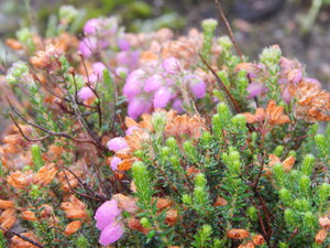 DSCN3277.JPG