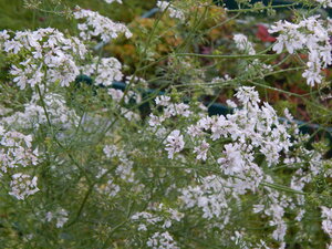 DSCN3279.JPG