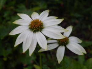 DSCN3280.JPG