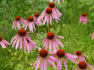 DSCN3281.JPG