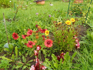 DSCN3293.JPG