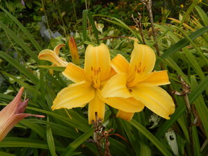 DSCN3349.JPG