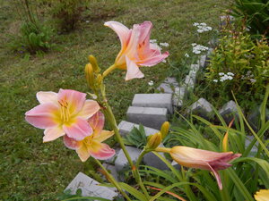 DSCN3350.JPG