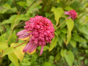 DSCN3362.JPG
