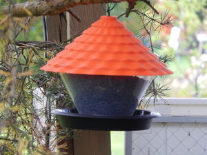 DSCN3258.JPG
