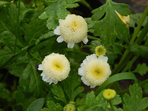 DSCN3265.JPG