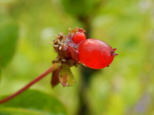 DSCN3287.JPG