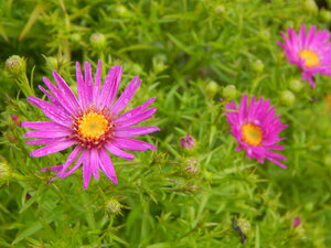 DSCN3290.JPG
