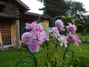 DSCN3297.JPG