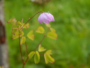 DSCN3299.JPG